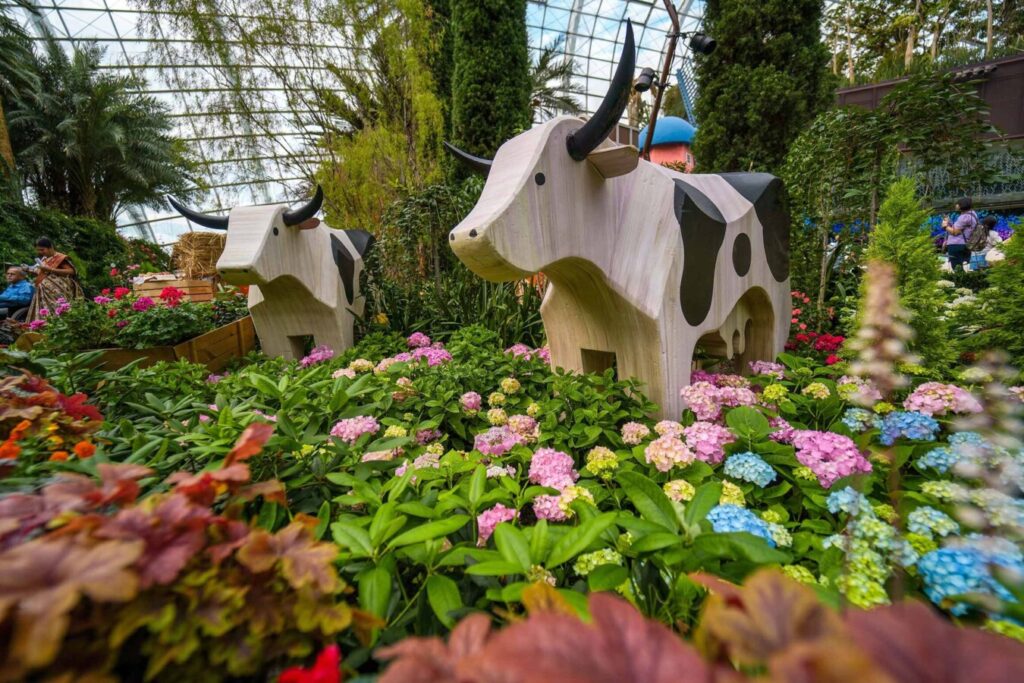 シンガポールの2大植物園「シンガポール植物園」と「ガーデンズ